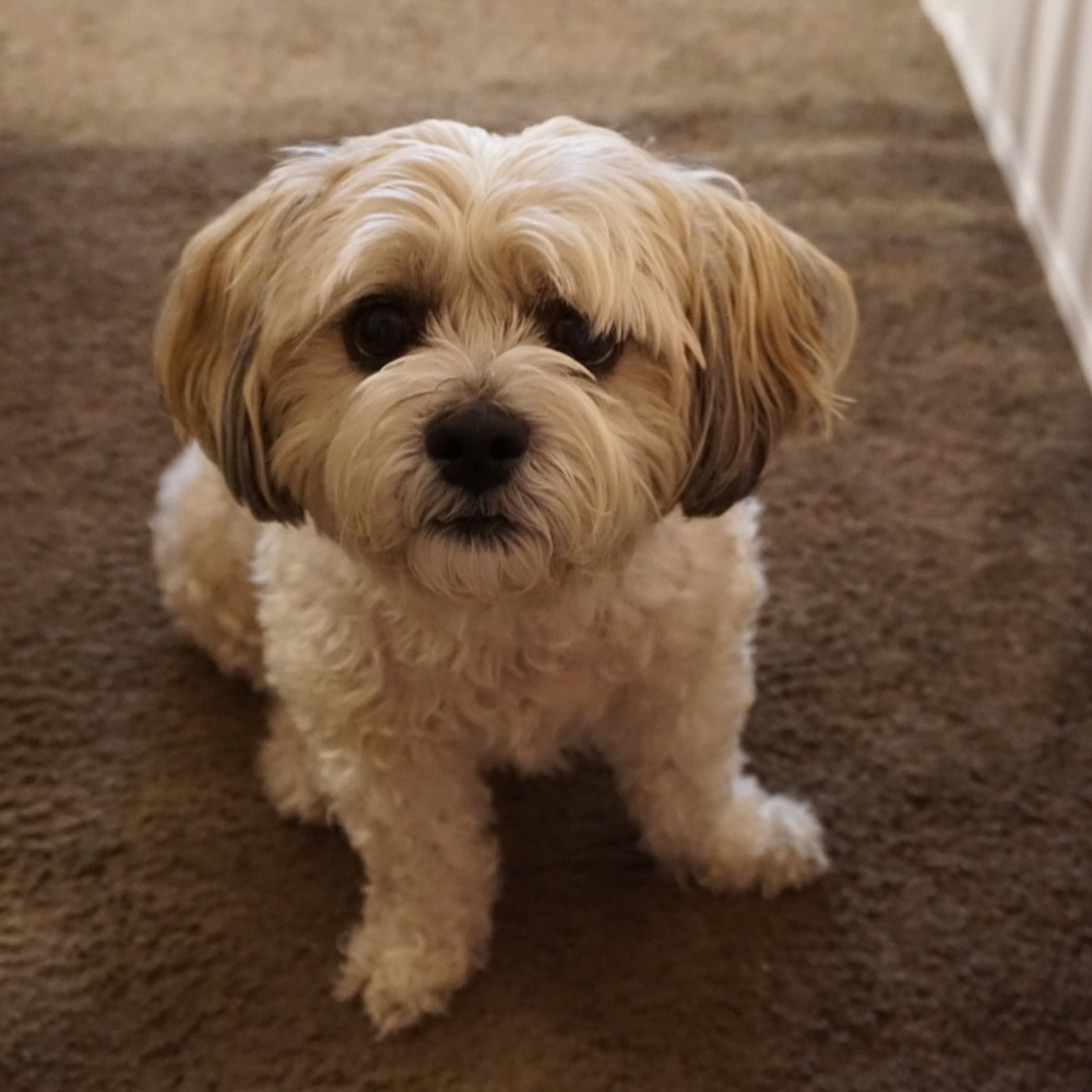 Meet your Posher, Elle