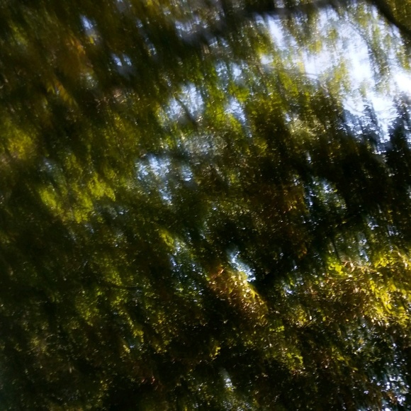 Meet your Posher, Amber - Picture 1 of 1