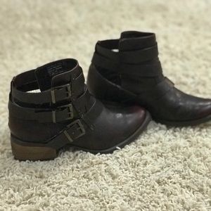 Wine colored Not Rated ankle booties