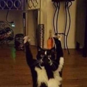 Meet your Posher, Alex