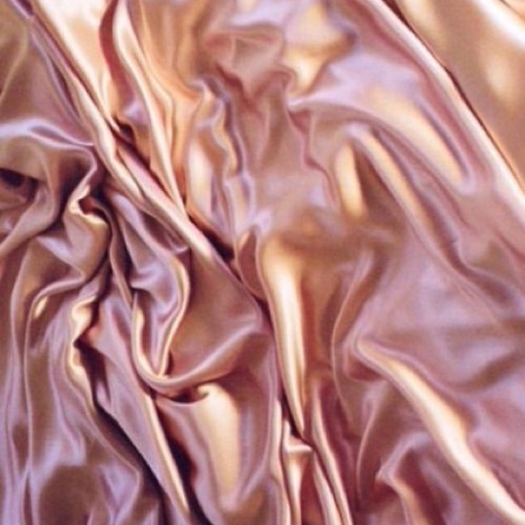 Meet your Posher, Reese - Picture 1 of 1