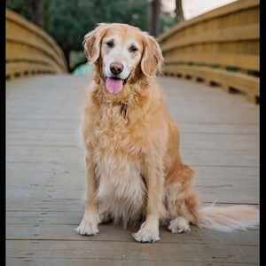 Meet your Posher, Gena