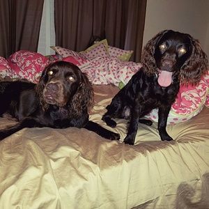 Meet your Posher, Beth