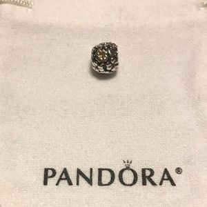 Pandora Charm