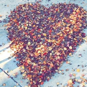 Meet your Posher, Josseline