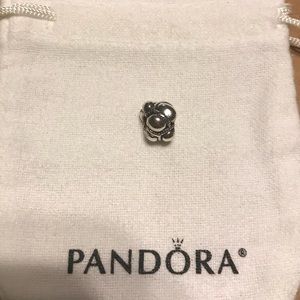Pandora Charm