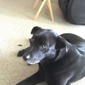 Meet your Posher, Quinn