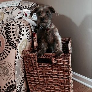 Meet your Posher, Bella