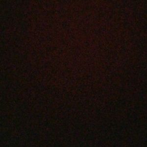 Meet your Posher, Addie