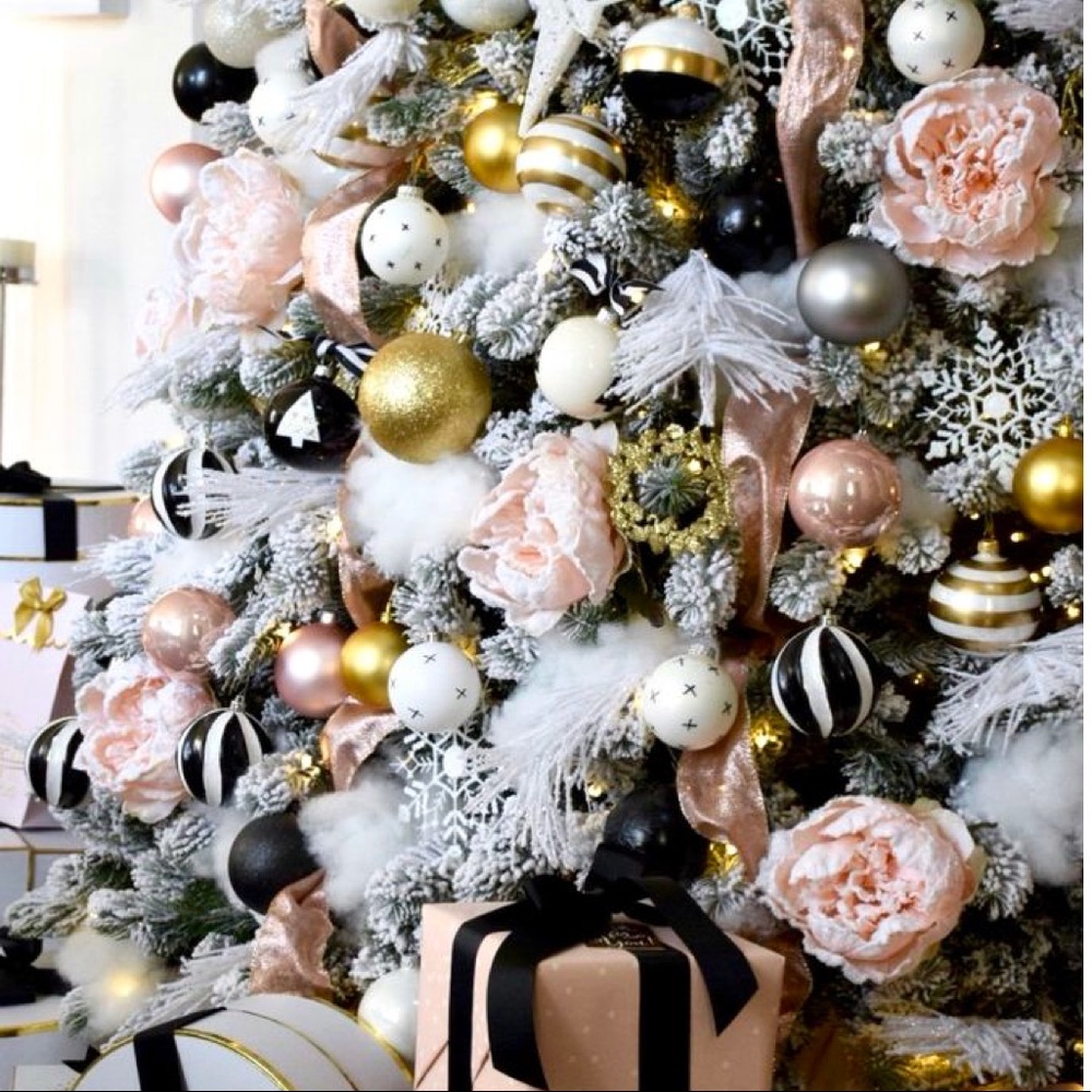 Meet your Posher, Ella