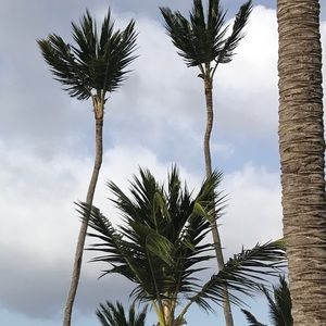 Meet your Posher, Selima