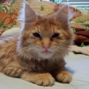 Meet your Posher, Danielle