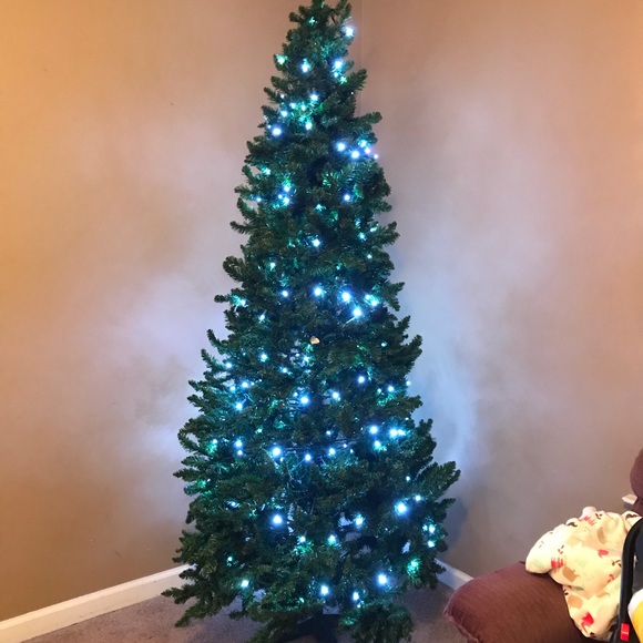 Meet your Posher, Gina - Picture 1 of 1