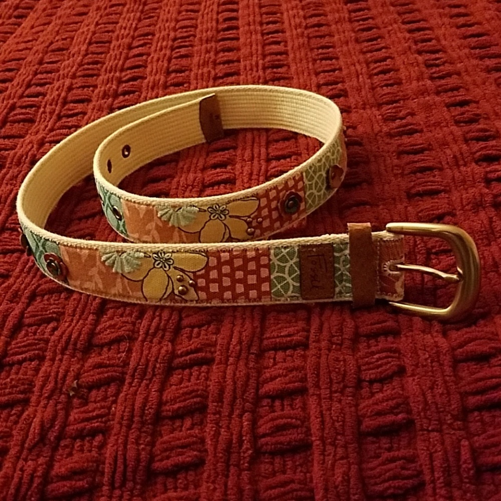 New Gold Flower Fossil Belt