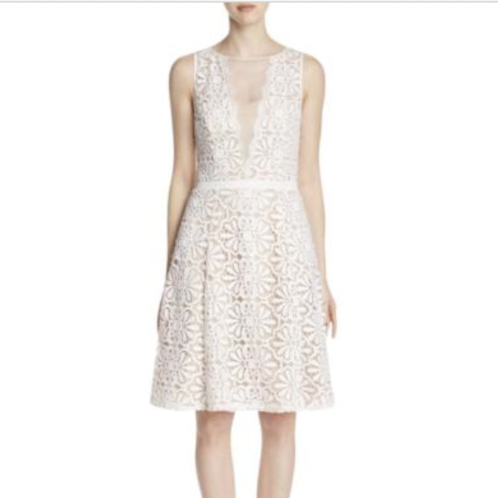 Adrianna Papell V Inset Fit & Flare Lace Dress