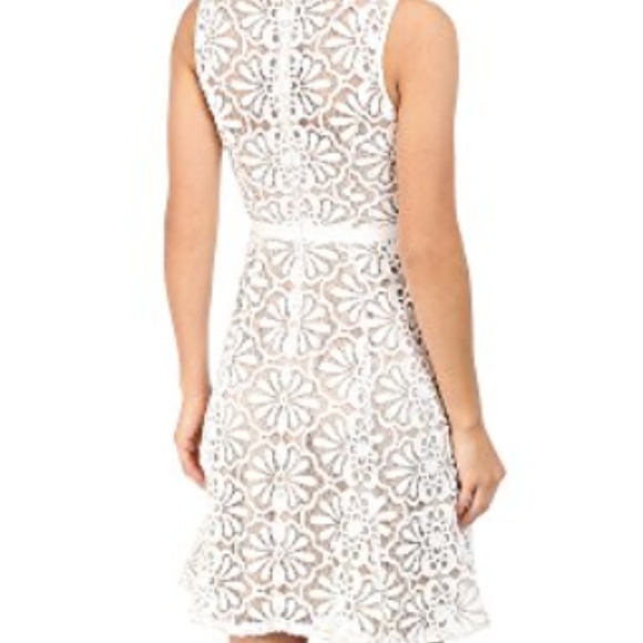 Adrianna Papell V Inset Fit & Flare Lace Dress - Picture 3 of 3