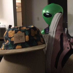 Meet your Posher, Bruce