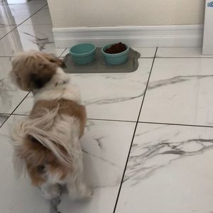 Meet your Posher, Hendrick