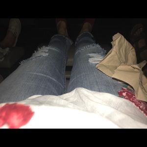 Meet your Posher, Priscilla