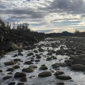 Meet your Posher, Max