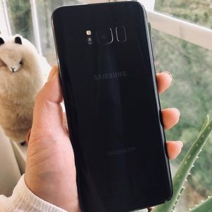 Galaxy S8 Plus with 256GB Evo + Micro SD