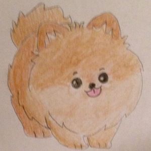 Meet your Posher, Belle