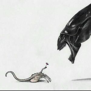 Meet your Posher, Karry