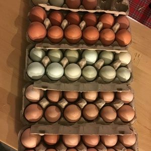 Meet your Posher, Vicky