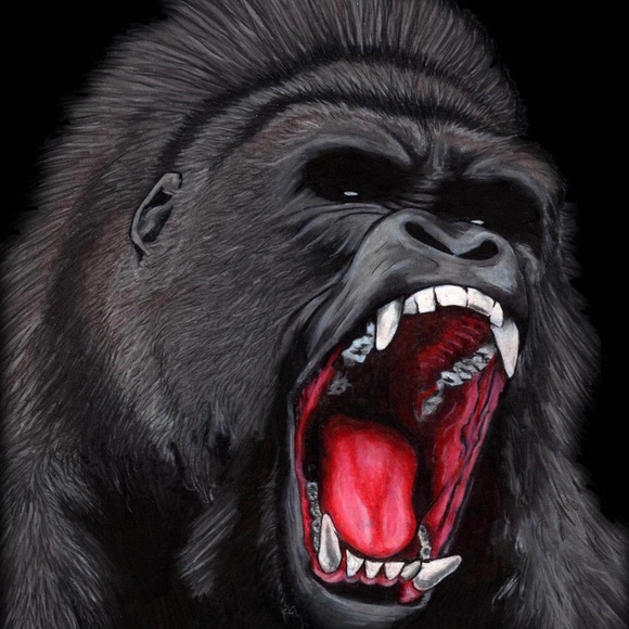 Meet your Posher, Randy - Picture 1 of 1