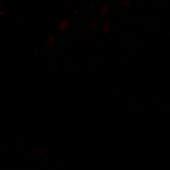 Meet your Posher, David - Picture 1 of 1