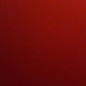 Meet your Posher, Trevor