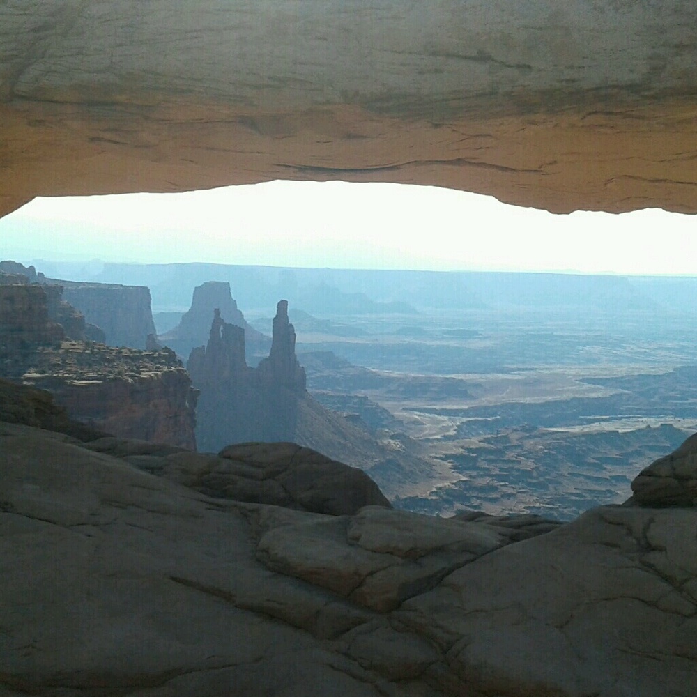 Meet your Posher, Elena