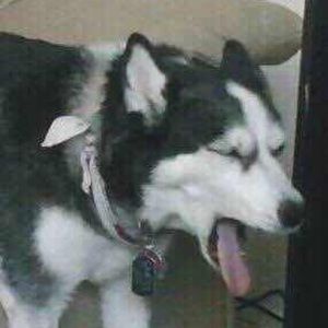 Meet your Posher, Jay