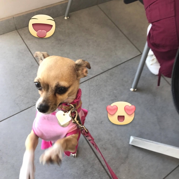 Meet your Posher, Yolanda - Picture 1 of 1