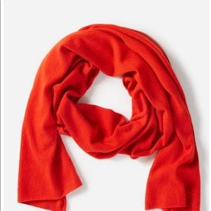 Everlane Cashmere Scarf