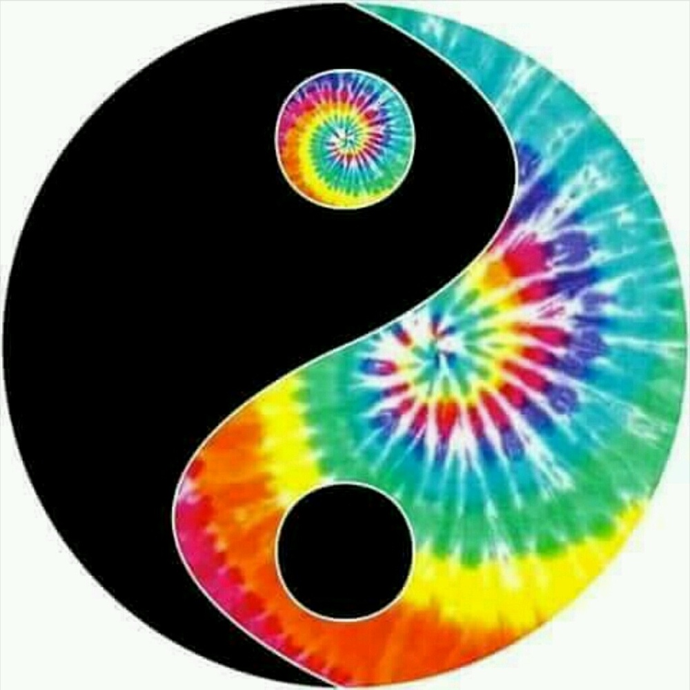 Meet your Posher, Shasta