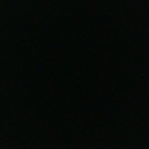 Meet your Posher, Carmella