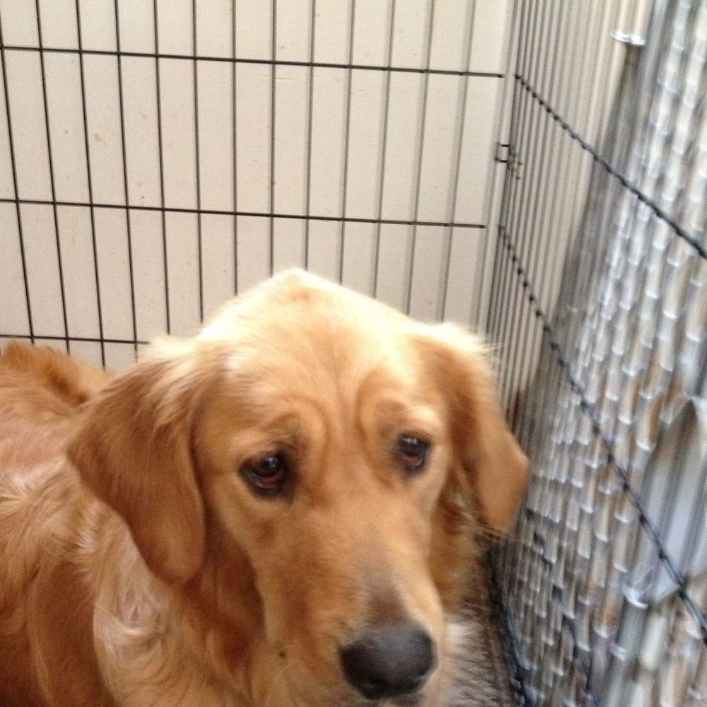 Meet your Posher, Jen