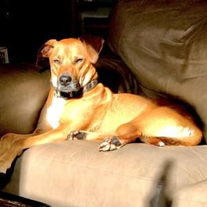 Meet your Posher, Irvin