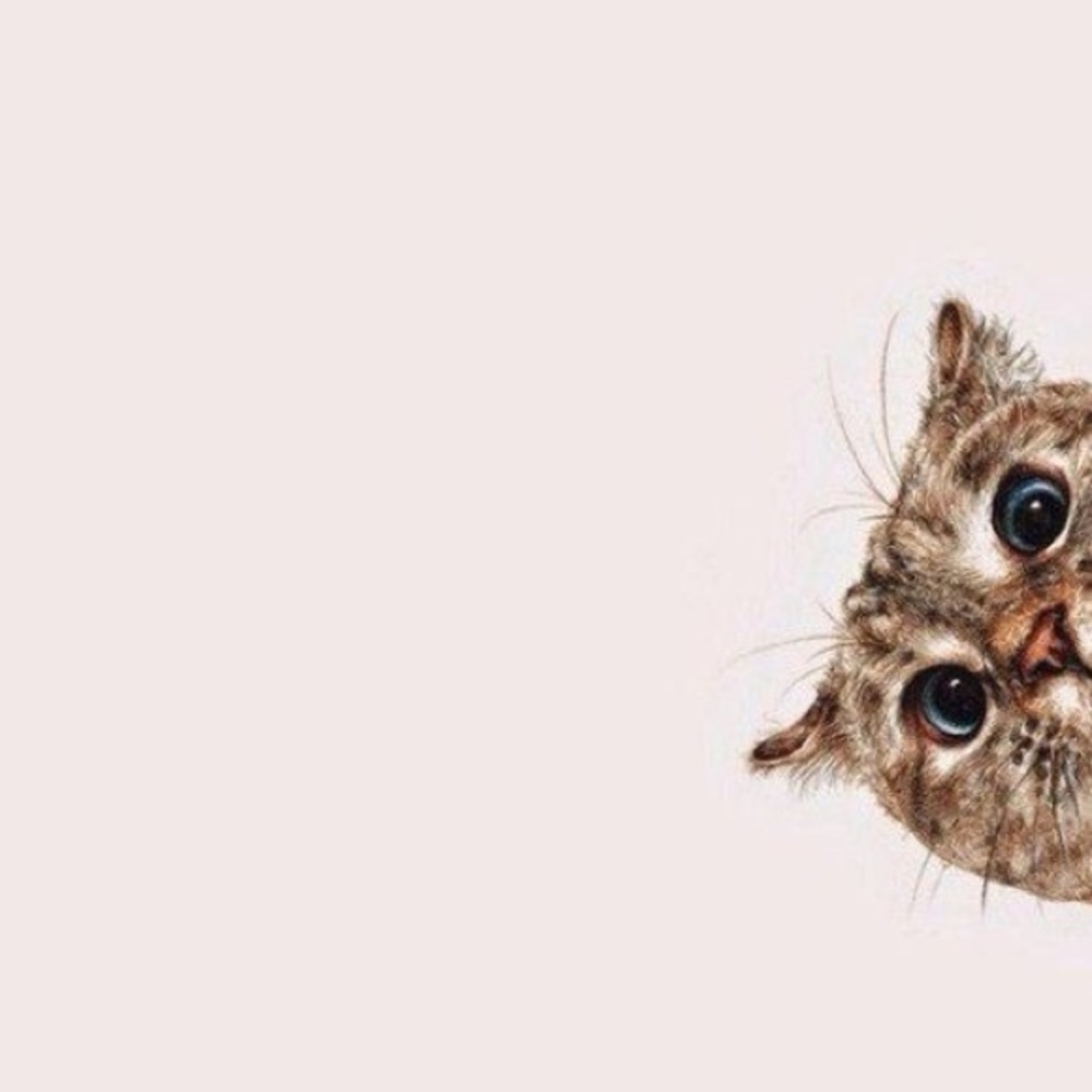 Meet your Posher, Jaimee