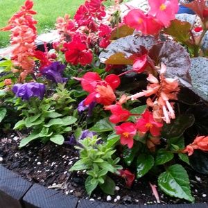 Meet your Posher, Krista