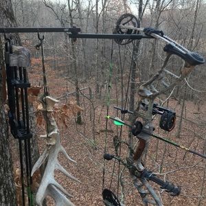 Meet your Posher, Corey