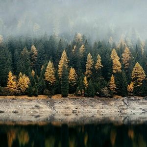 Meet your Posher, Autumn