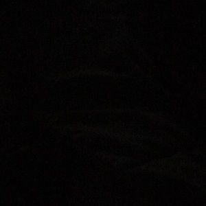 Meet your Posher, Ann