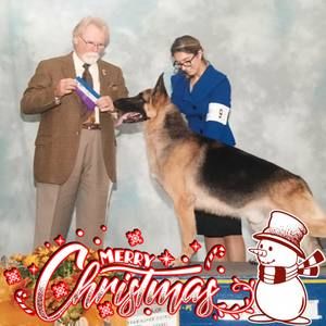 Meet your Posher, Priscilla