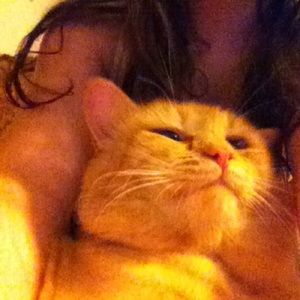 Meet your Posher, Sara