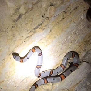 Meet your Posher, Bryan