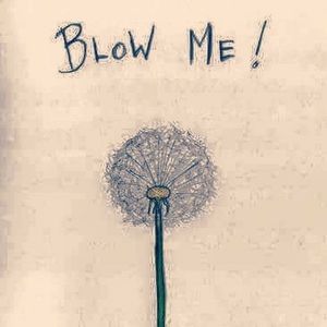 Meet your Posher, Dan