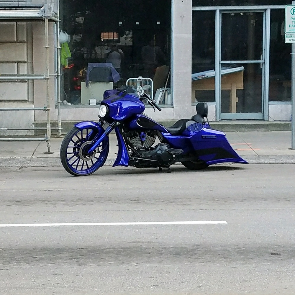 Meet your Posher, Anibal