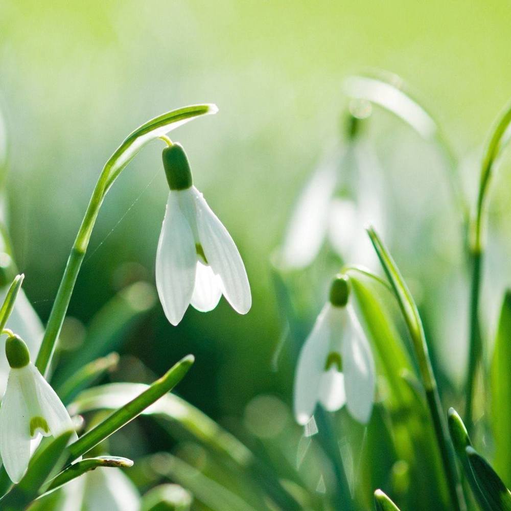 Meet your Posher, Elena